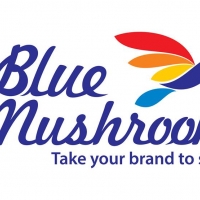 Blue Mushroom Infozone Pvt Ltd 