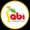 Buy Abi Mango Farm Fresh Mangoes Online